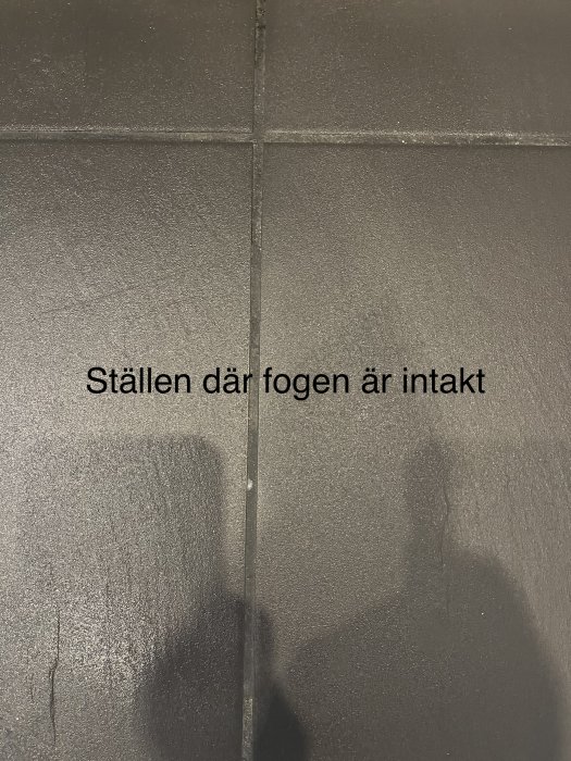 Gråa kakelplattor, fog, text "Ställen där foggen är intakt", skugga av en person.