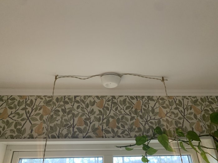 Taklampa, tapet med blad och päron, kablar längs med taket, gröna växter längst ner.