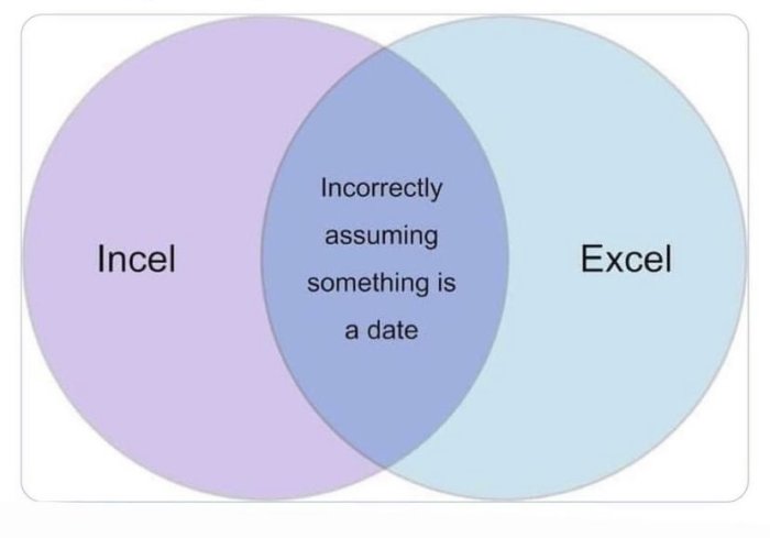 Venn-diagram med "Incel" och "Excel" överlappande i missuppfattat datum.