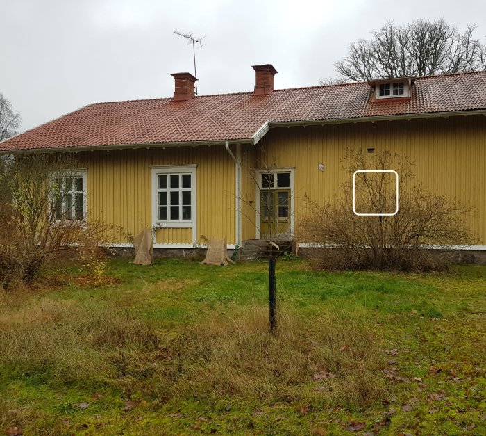 Ett gult enplanshus med rött tak, skorsten, fönsterluckor och obebyggd trädgård. Gråmulet väder.