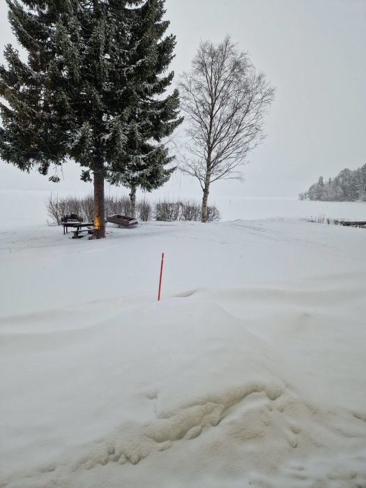 Snötäckt landskap med träd, sjö, bänkar och rött föremål i förgrunden. Dimmig, vintertid.