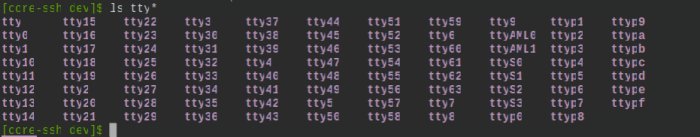 Textbaserad terminal med kommandoutförelse som listar virtuella terminaler och pseudo-terminaler på en dator.