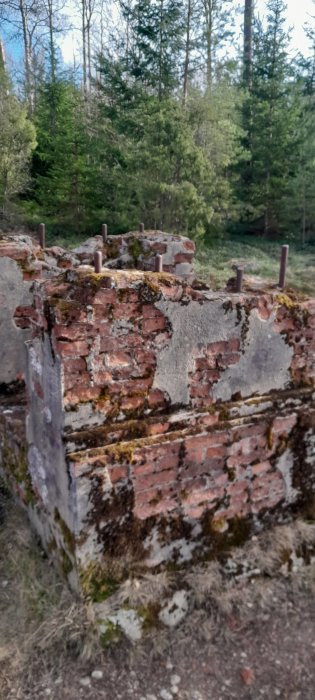 Gamla murverksruiner med övervuxen mossa i en skogsmiljö.