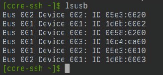 Grön text i terminalskärm visar resultat av 'lsusb'-kommando med lista över USB-enheter.