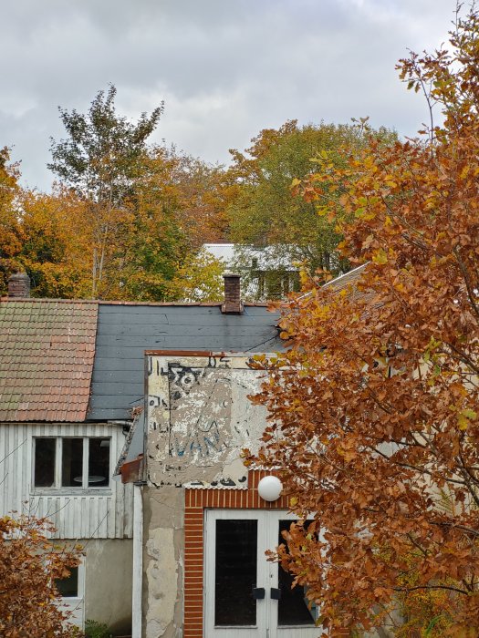 Hus med slitna fasader omgivna av höstfärgade lövträd mot en molnig himmel.