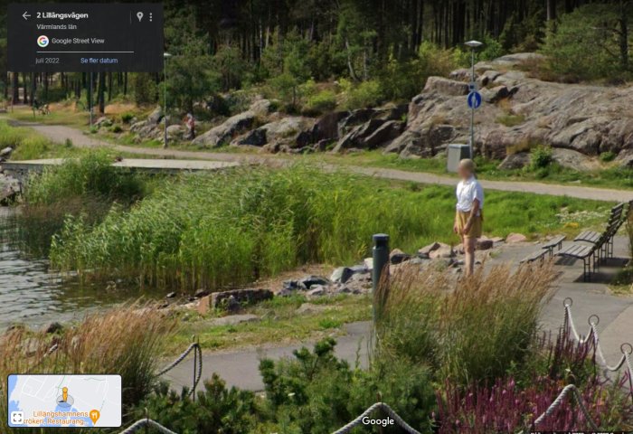 Google Street View-bild, person med förvrängt huvud, parkstig, grönska, skyltar, sommar, solljus.