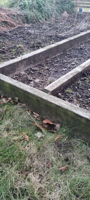 Trälådor med jord, kala växter, gräsmatta i förgrunden, vintertid eller tidig vår.