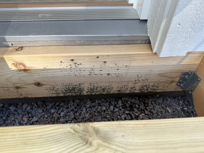 Trappsteg av trä med spillror, metallbeslag, och svarta prickar (möjligen insekter eller smuts) på sidan.