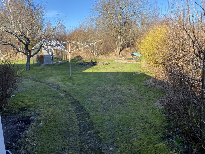 Trädgård med gräsmatta, klädtork, stig, buskar och ett växthus under en solig himmel.