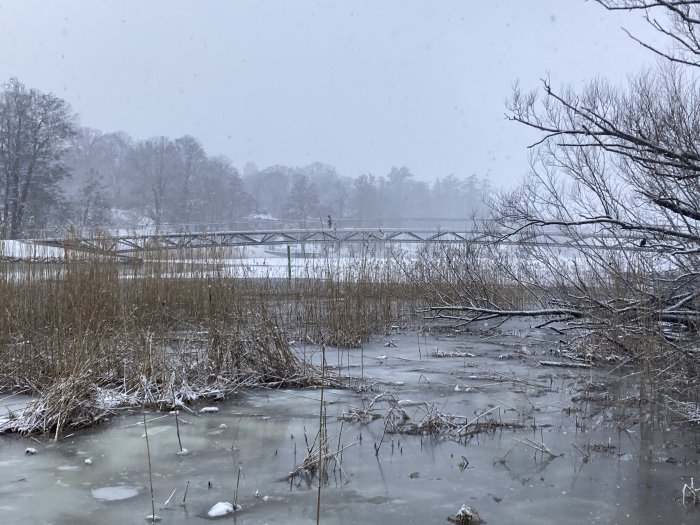 Vinterlandskap, frusen sjö, bro i distansen, snöfall, döda växter, träd, grå himmel.