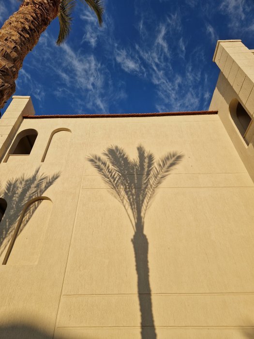 Skugga av palm på byggnad, blå himmel, undre perspektiv, arkitektur, soligt väder, klar himmel, dagtid.