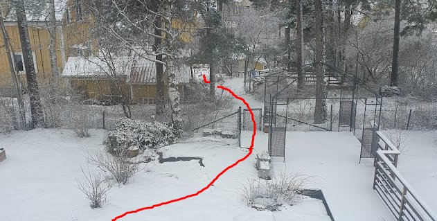 Ett snötäckt trädgårdslandskap med träd, stig, staket och en röd markering.