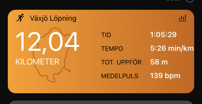 Skärmbild av löparapp, visar 12,04 km distans, tid 1 timme 5 minuter, tempo och pulsdata.