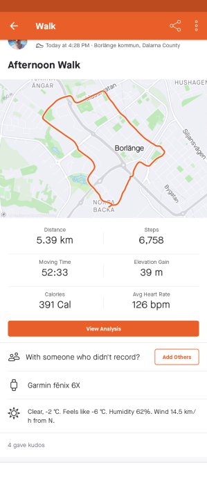 Skärmdump av aktivitetsappen: promenad, karta, distans, steg, tid, kaloriförbränning, hjärtfrekvens, väderförhållanden.