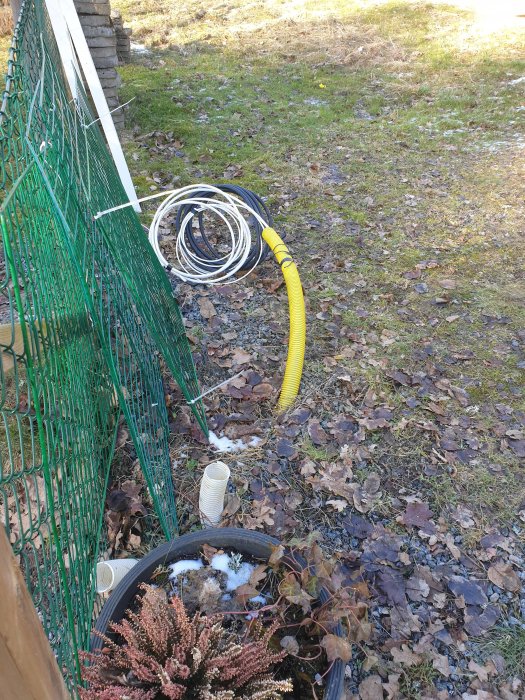 Trädgård med stängsel, slangen och kabelrulle på marken, planteringskärl med vissnade växter, höstlöv.