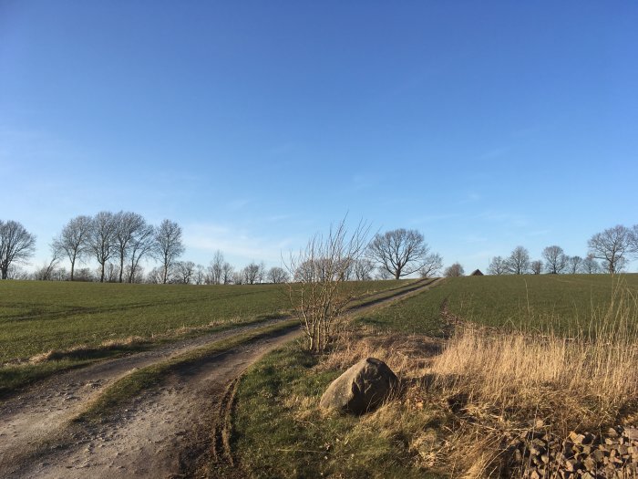 Landlig väg delar sig nära sten och fält under klarblå himmel.