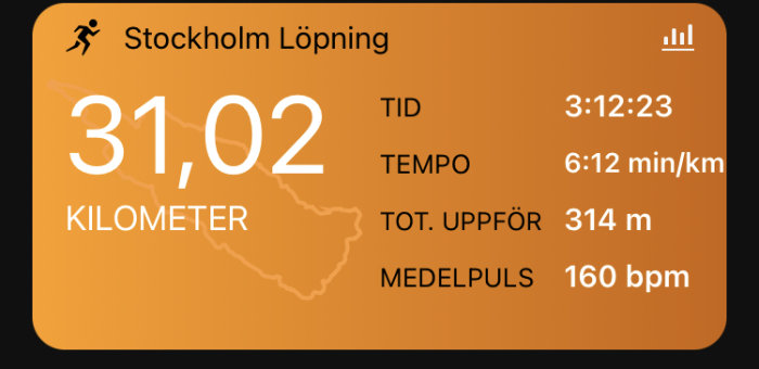 Fitness-appskärm som visar löpresultat för 31,02 km i Stockholm med tid, tempo, höjd och puls.