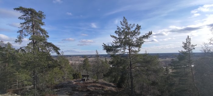 Skogsklädd kulle, utsikt över landskap, klar himmel, bänk, träd, natur.