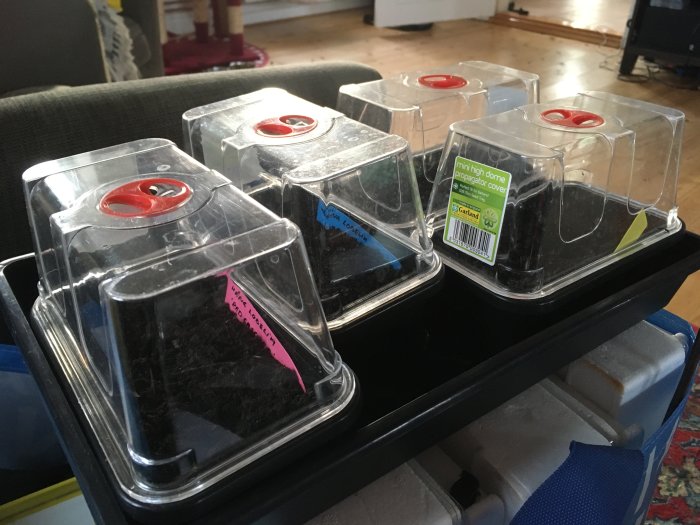 Miniväxthus med jord, etiketter, inomhus. Odlingskit för plantor. Transparenta lock, ventilerande röda skruvar.