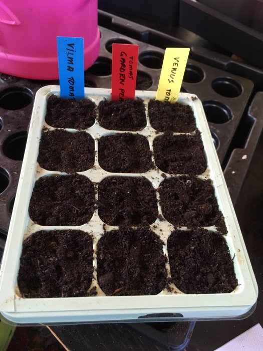 Odlingsbricka med jord och etiketter för plantor: "Viva Tomat," "Garden Pea," "Venus Tomat." Inga plantor synliga.