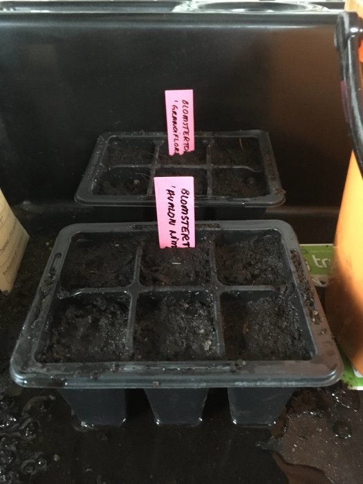 Odlingsbricka med jord och etiketter för plantor, inomhusplantering, ingen grönska syns ännu.