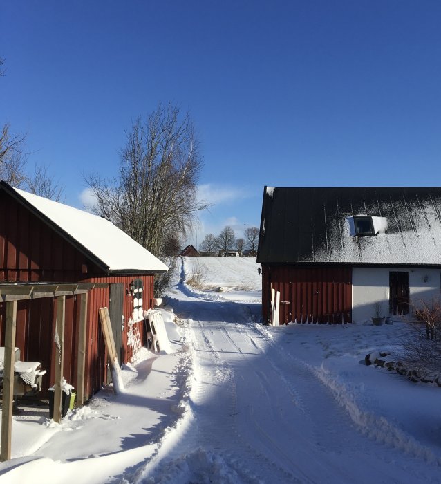 Vinterlandskap med snötäckt väg mellan röda byggnader under klarblå himmel.