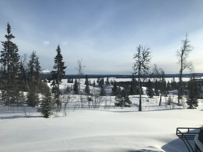 Vinterlandskap med snötäckt mark, barrträd, en frusen sjö och berg i bakgrunden under en klar himmel.