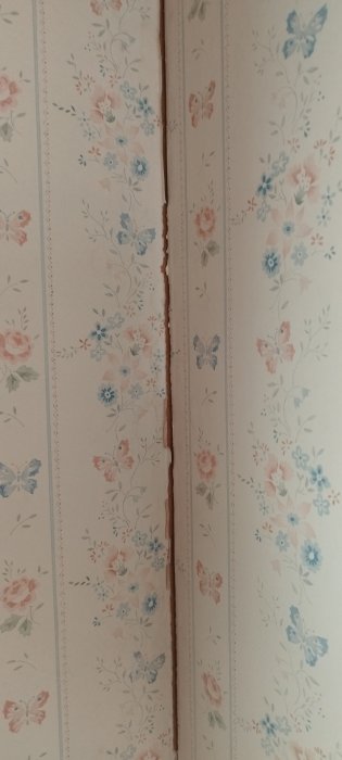 Vertikal syn på blommigt tapet med en spricka i mitten.