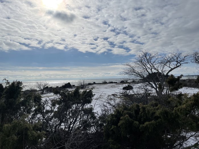 Snötäckt landskap, träd, buskar, molnig himmel, solskimmer på havet i bakgrunden.