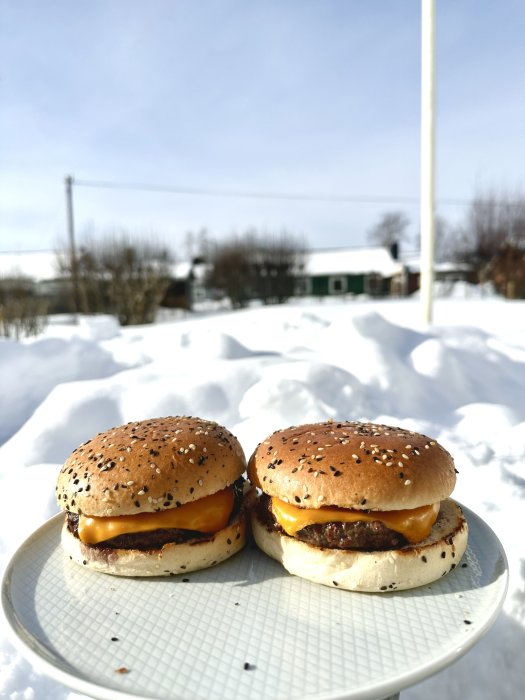 Två hamburgare på ett fat, med snöbakgrund och soligt väder.