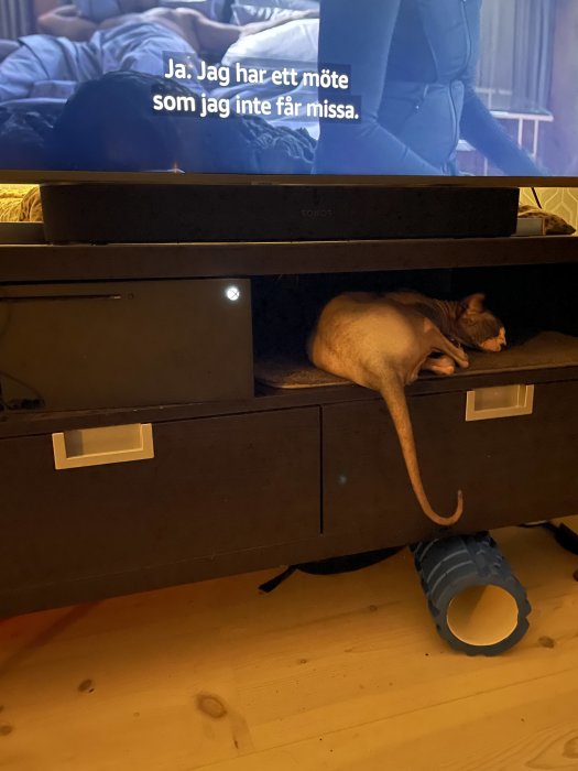 En katt sover i en halvöppen låda under en TV-möbel med textad TV-skärm ovanför.