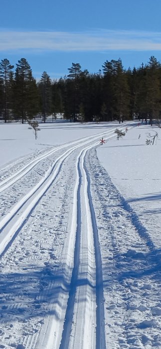 Långfärdsspår i snö, soligt, skogsbakgrund, blå himmel, skidspår korsar bilden.