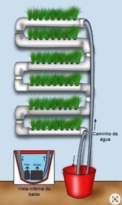 Hydroponiskt system med PVC-rör för odling av grönt gräs, vattencirkulation illustrerad, röd hink, pumplösning.