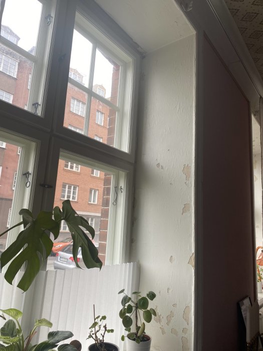 Fönster mot stad, skadad vägg, krukväxter på fönsterbrädan, dagsljus, äldre byggnad, behov av renovering.