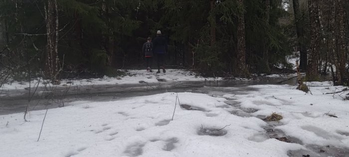 Två personer promenerar i en vinterskog med snö och is.