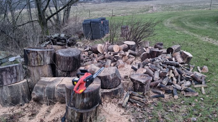 Elektrisk motorsåg på stock, klyvna vedträn, naturbakgrund, vedhög, utomhusarbete, vinter eller höst.