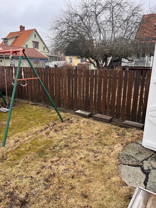 En trägunga i en trädgård, brunt gräs, trästaket, hus i bakgrunden, grå himmel, tidig vår eller höst.