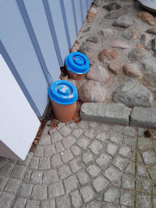 Två krukor med blå lock vid en blå vägg på en stenlagd yta.