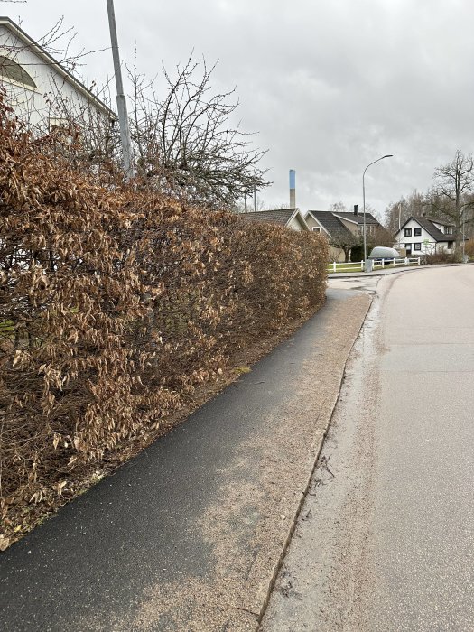 Ett molnigt bostadsområde, bar häck, våt trottoar, hus och en skorsten i bakgrunden.