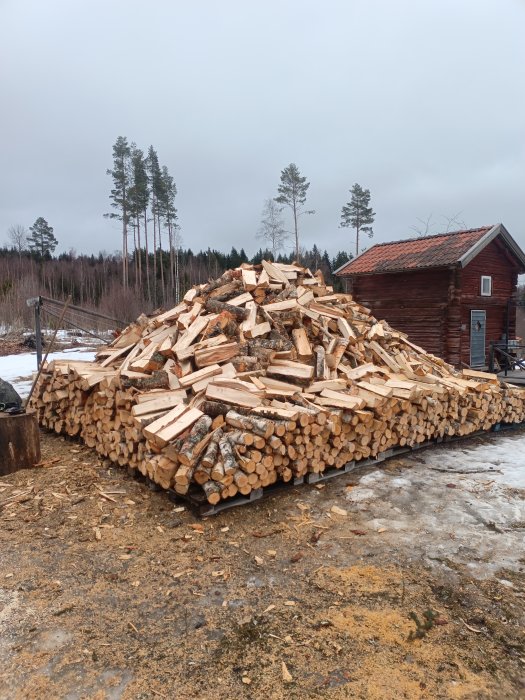 Stor vedhög, klyvt trä, röd stuga, grå himmel, bar mark, träd i bakgrunden.