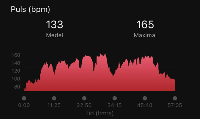 Pulsmätning. Grafer visar pulsvariationer över tid. Medel 133 bpm, Maximal 165 bpm. Träningsintensitet illustreras.