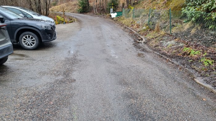 Grusväg, skogsområde, del av bil, grå himmel, staket, vattenpölar, vardaglig scen utomhus.