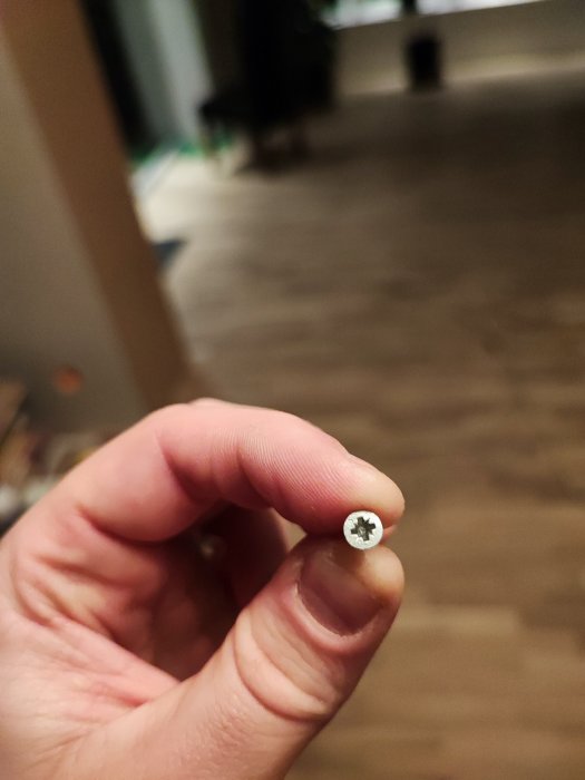 Hand håller en skruv framför suddig bakgrund inomhus.
