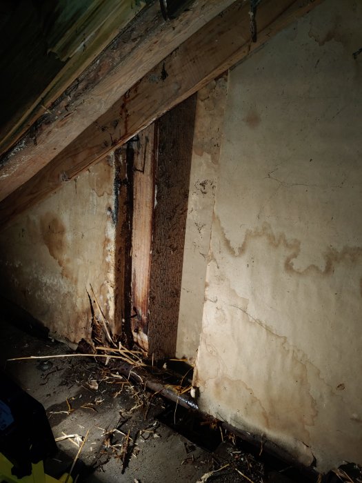 Förfallen interiör med vattenskador, mögel och bråte. Mörkt utrymme, förfallna träreglar och skadad gipsskiva.