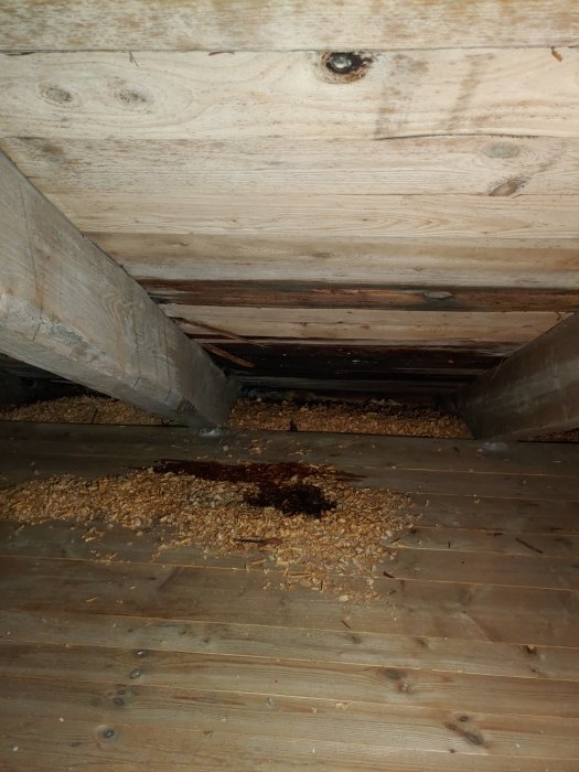 Träbjälklag med spån och mörk fläck, möjligt vattenläckage eller skada, under en vind eller i ett loftutrymme.