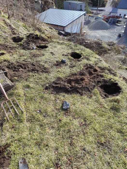 Backe med gräsmatta, flera grävda hål, trädgårdsredskap och några sparsamma stenar under dagtid.