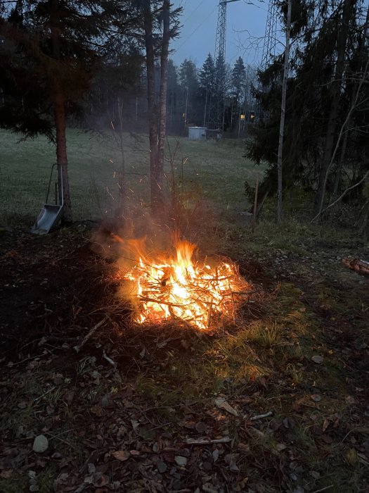 Eld utomhus vid skymning, träd, levande lågor, rök, avfallshög brinner, spade, gräs, löv.