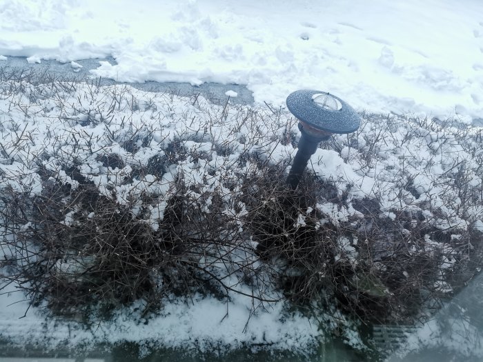 Solcellslampa i snötäckt buskage, vinterdag, snö på marken, snöfläckar på lampan.