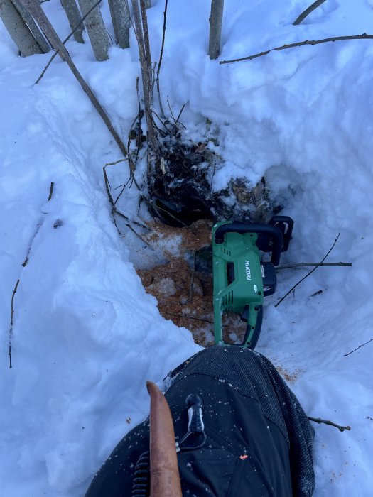 Person sågar trädstubbe i snö med elektrisk såg, synliga träspån, vinter, arbete, utomhus.