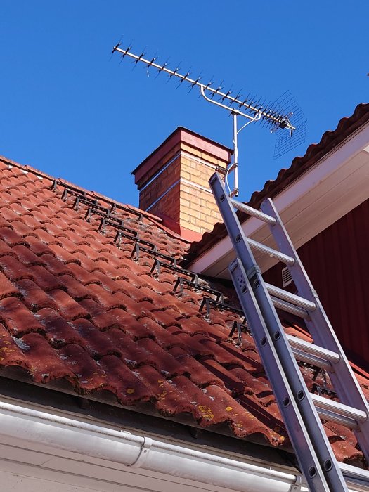 Stegar lutad mot tegeltak, antenn på skorsten, blå himmel.